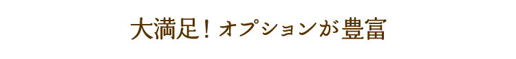 大満足！オプションが豊富