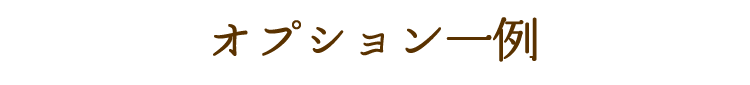 オプション一例