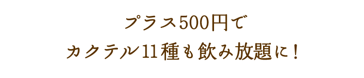 プラス500円で